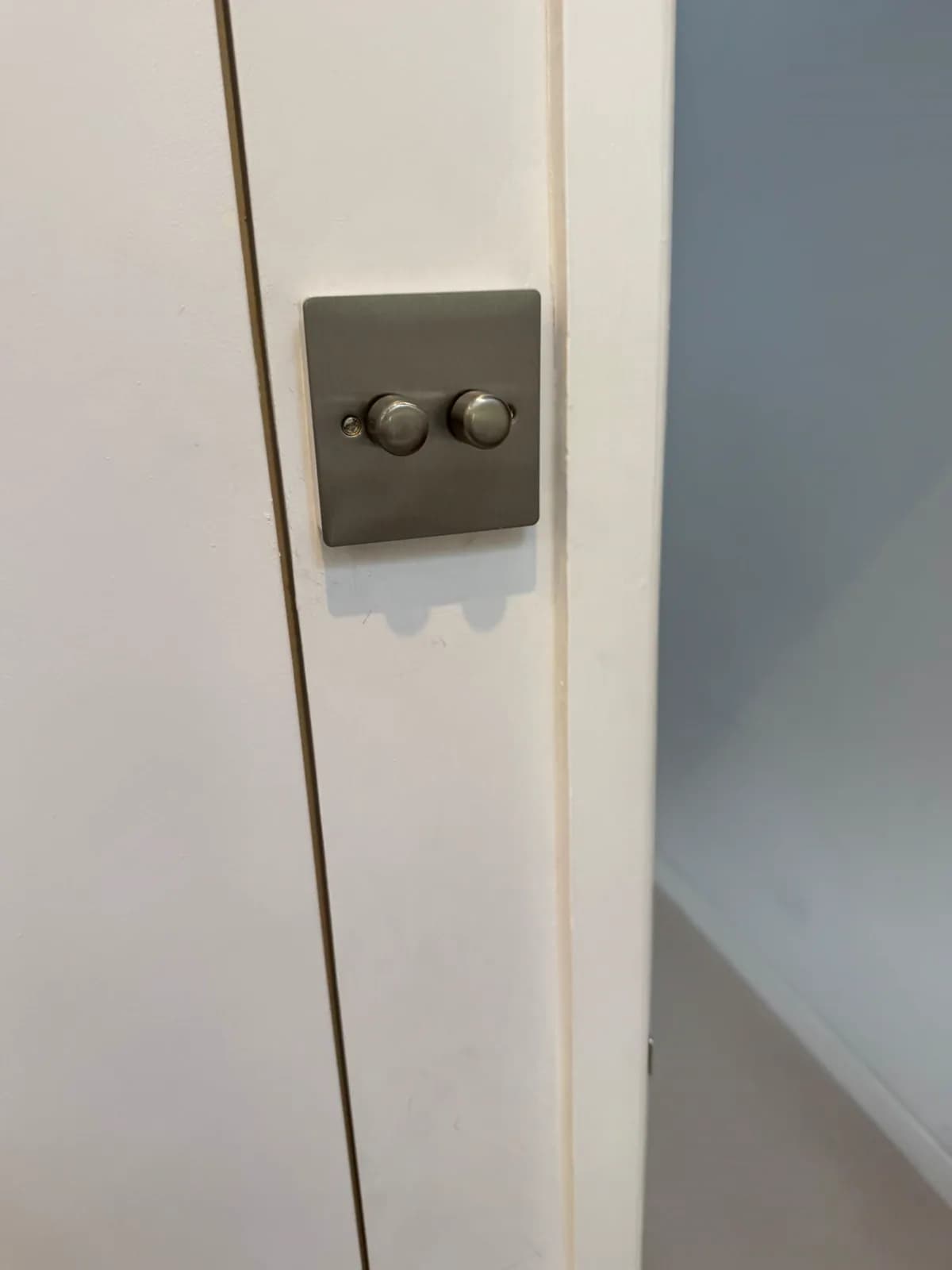 Brushed steel two-gang dimmer switch on a wall
