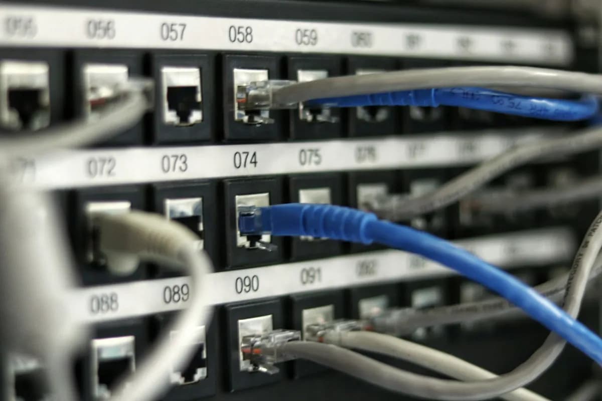 Ethernet cables plugged into a numbered patch panel